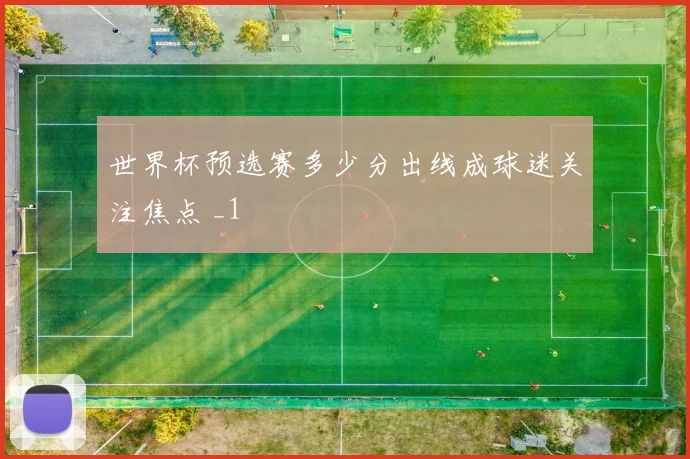 世界杯预选赛多少分出线成球迷关注焦点 _1