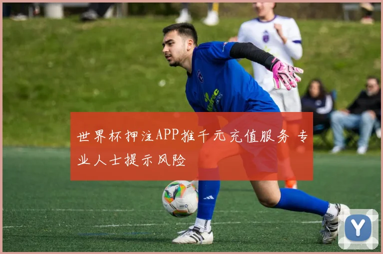 世界杯押注APP推千元充值服务 专业人士提示风险