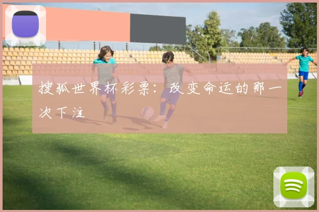 搜狐世界杯彩票：改变命运的那一次下注