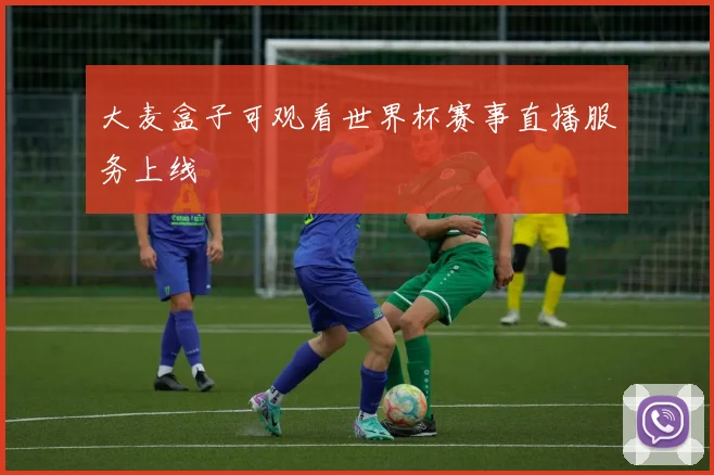 大麦盒子可观看世界杯赛事直播服务上线