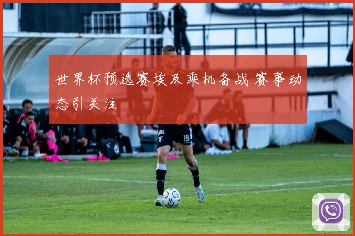 世界杯预选赛埃及乘机备战 赛事动态引关注