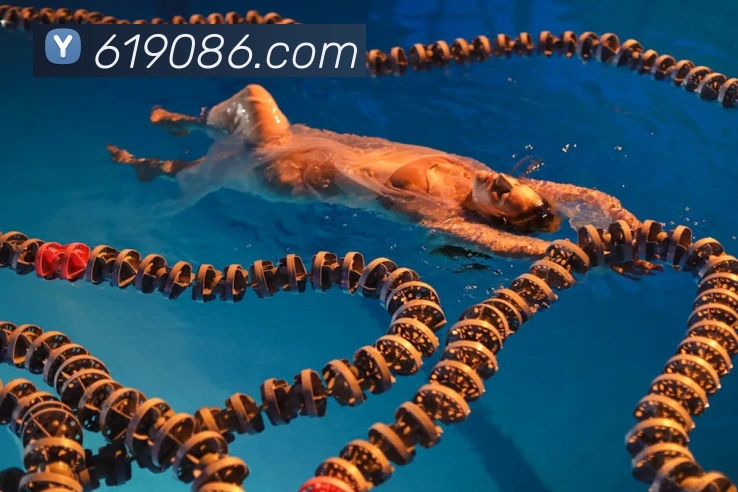 世界杯官网线上平台全站App